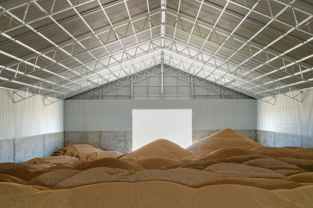 Grain stored in concrete panel grain shed