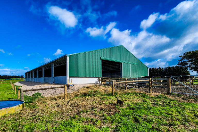 9 Calving Shelters & Calf Shed Projects To Inspire Yours - Action Steel