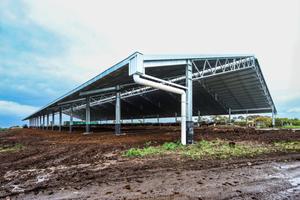 Dairy Barn Projects - Loafing Barn at Meningie SA - Gallery 3