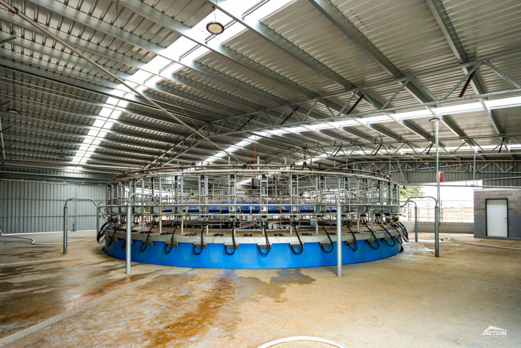 Rotary Dairy vs Herringbone Dairy: What's the Difference? - Action Steel