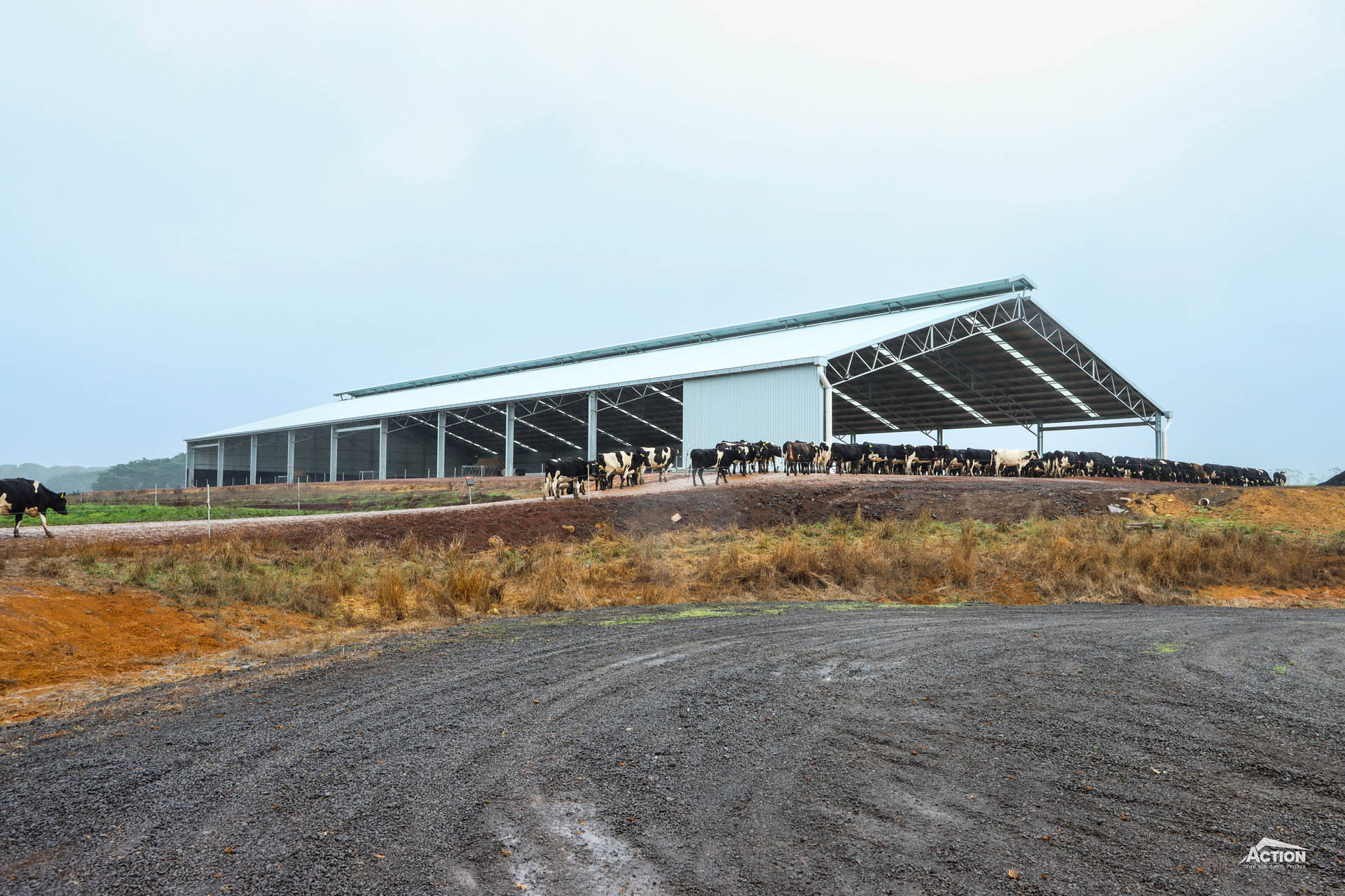 Read more about the article 100m x 40m x 6m maternity barn