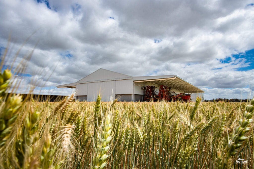 Grain shed before harvest. Cost to build a grain shed