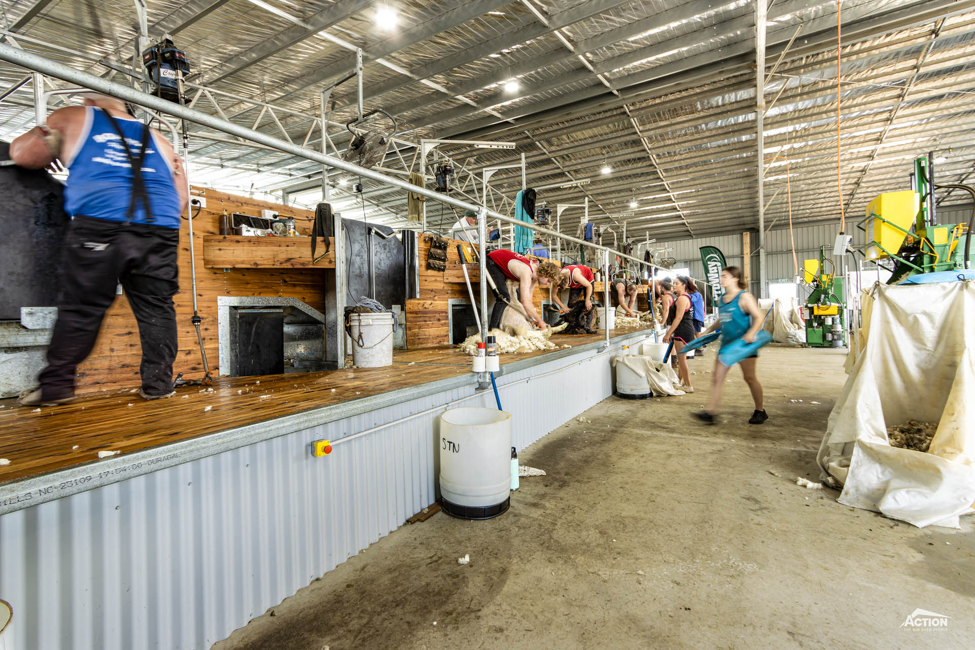 straight board shearing shed with proway fit out