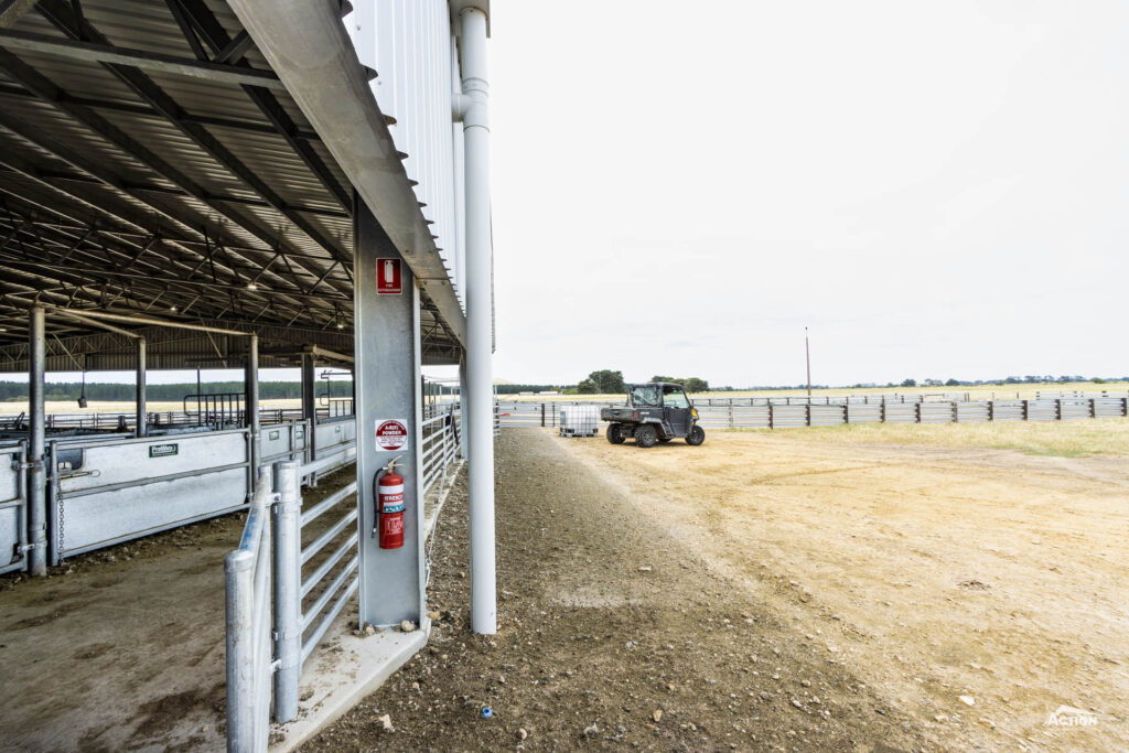 Covered sheep yards with concrete floor and infill