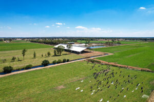 Loafing barn site location