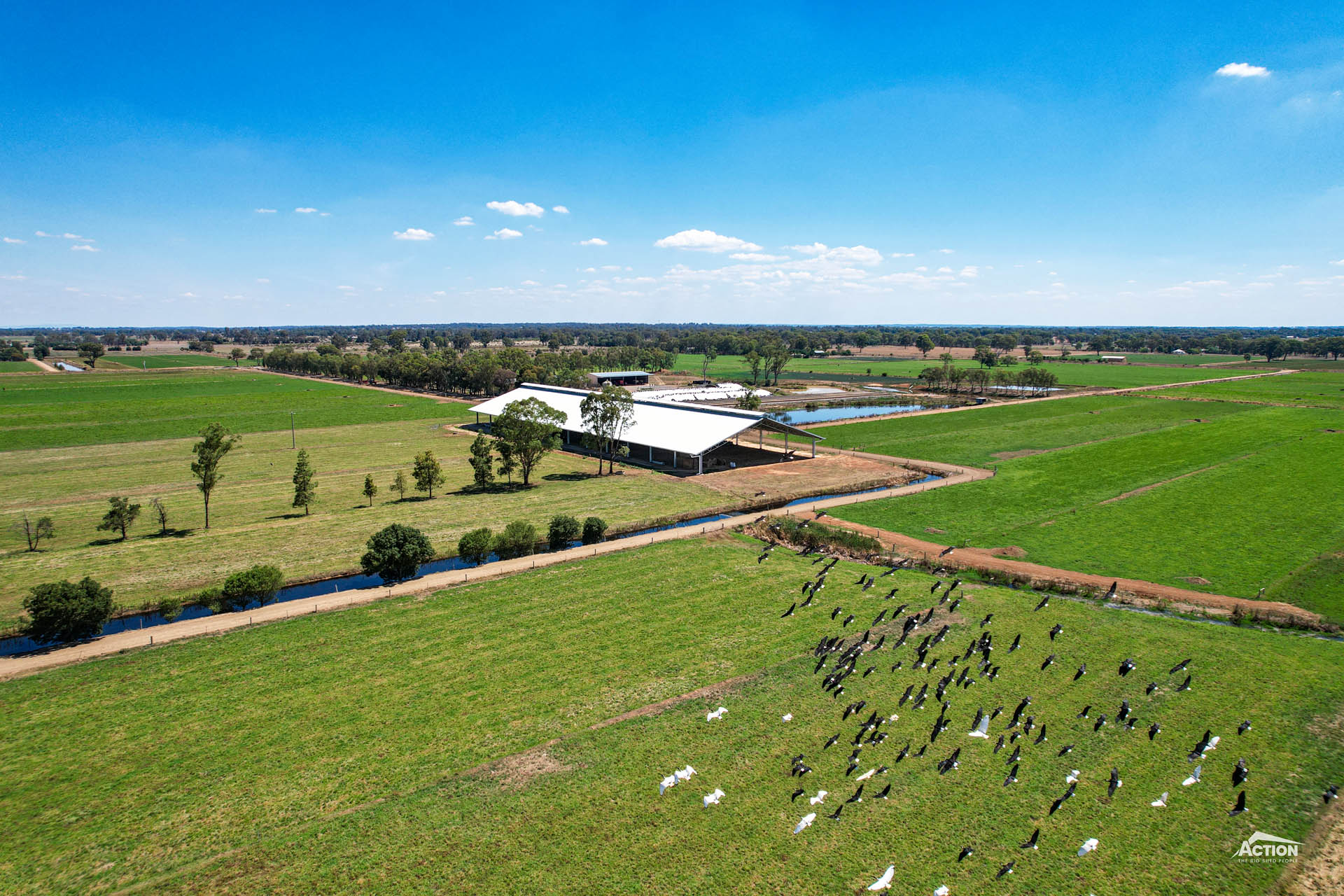 Loafing barn site location