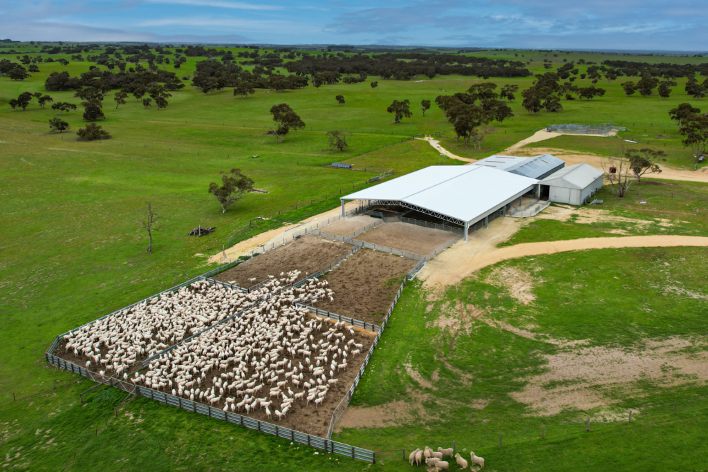 benefits of covered sheep yards